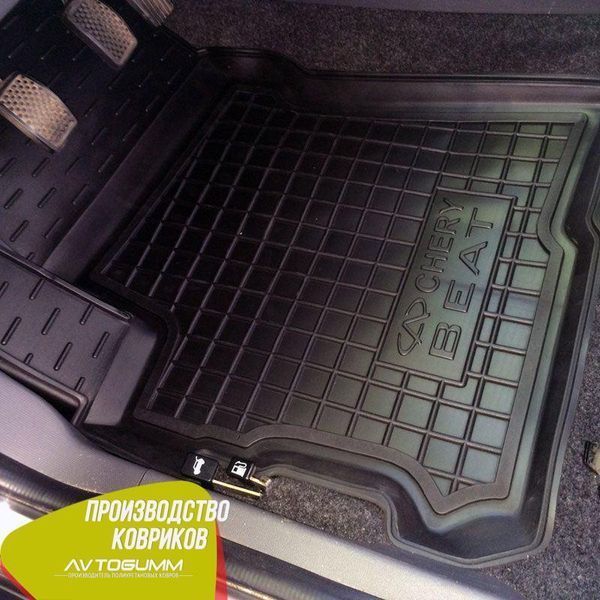 Авто коврики в салон Chery Beat 2011- Автогум (Avto-Gumm) 10932 фото