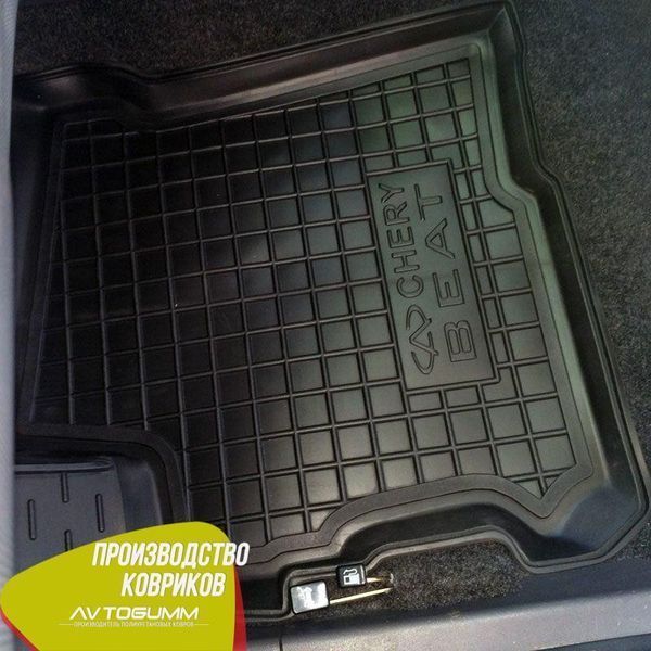 Авто коврики в салон Chery Beat 2011- Автогум (Avto-Gumm) 10932 фото